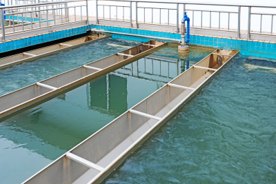 �蹸��������ˮ�����е���Ҫ����