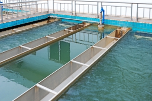 �蹸��������ˮ�����е���Ҫ����